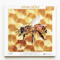 Pětivrstvé výukové puzzle Vývoj včely